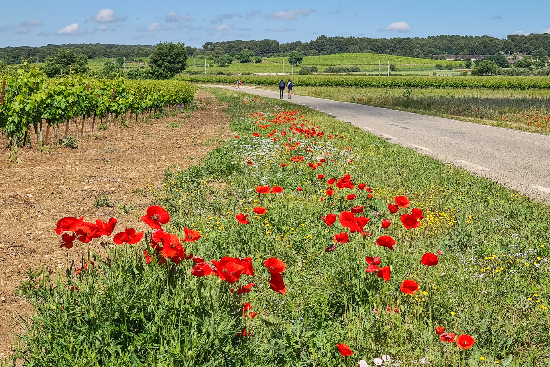 2026 J3/10 Vauvert – Gallargues