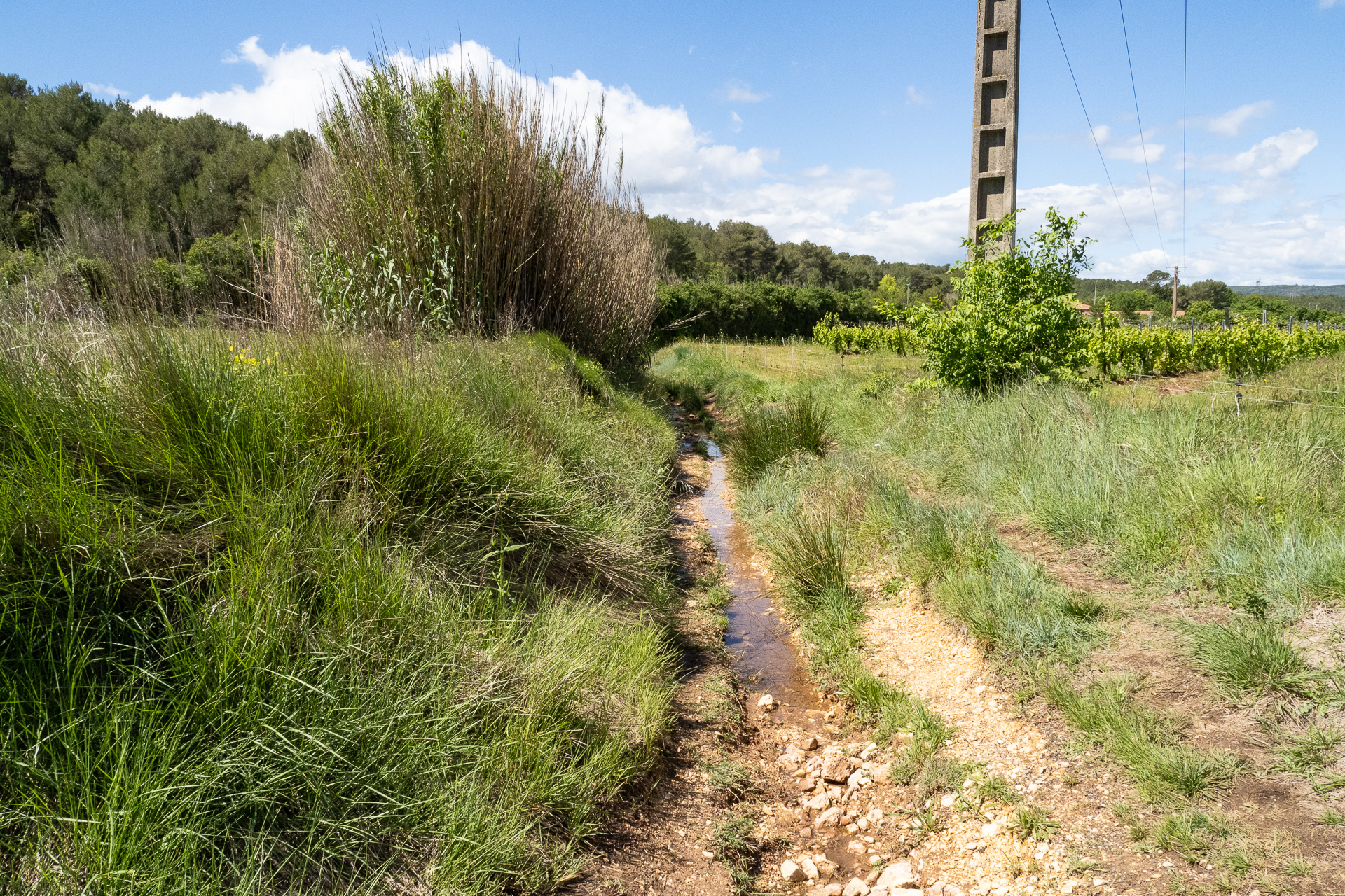 2026 J6/10 Montpellier – Montarnaud