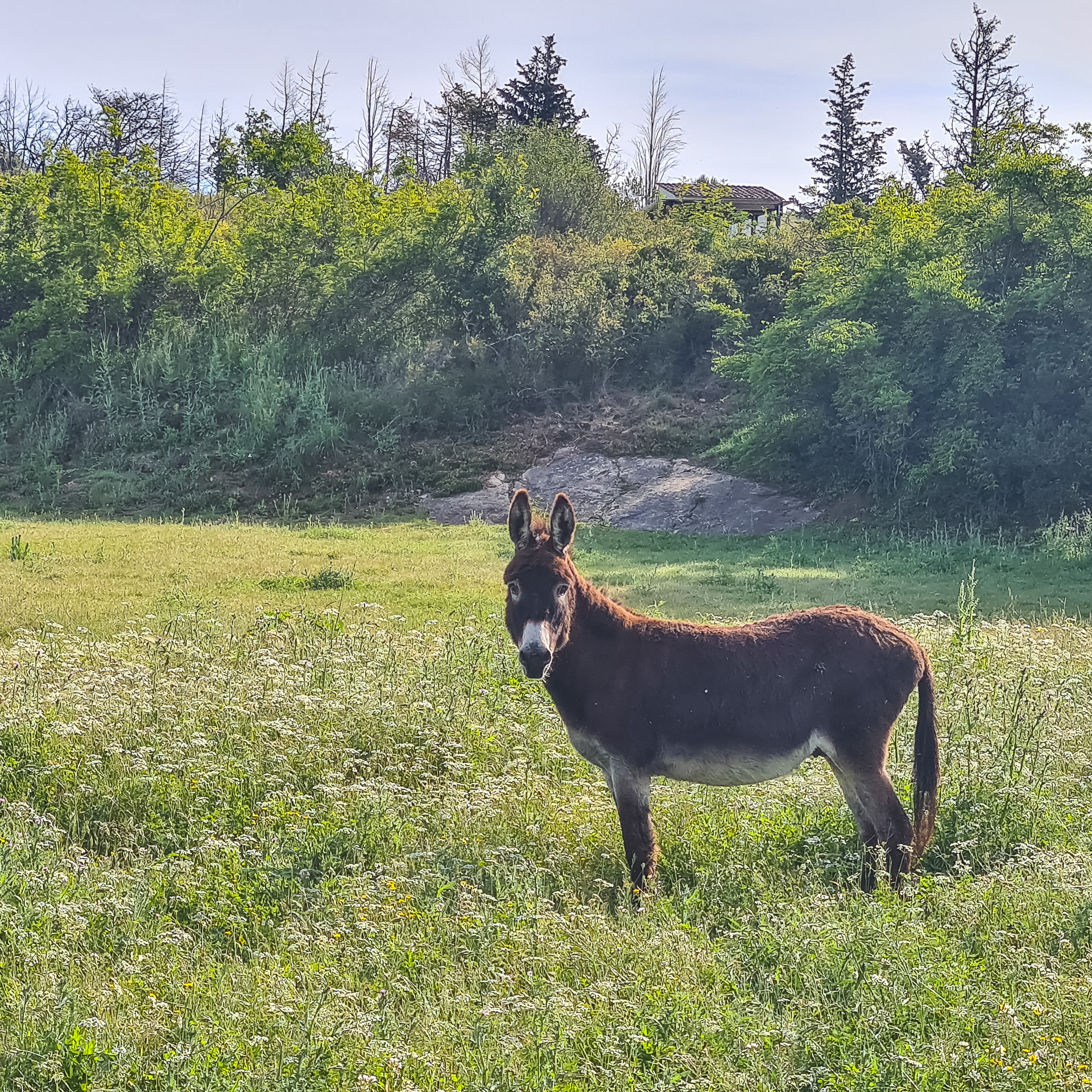 2026 J4/10 Gallargues – St Geniès-des-Mourgues